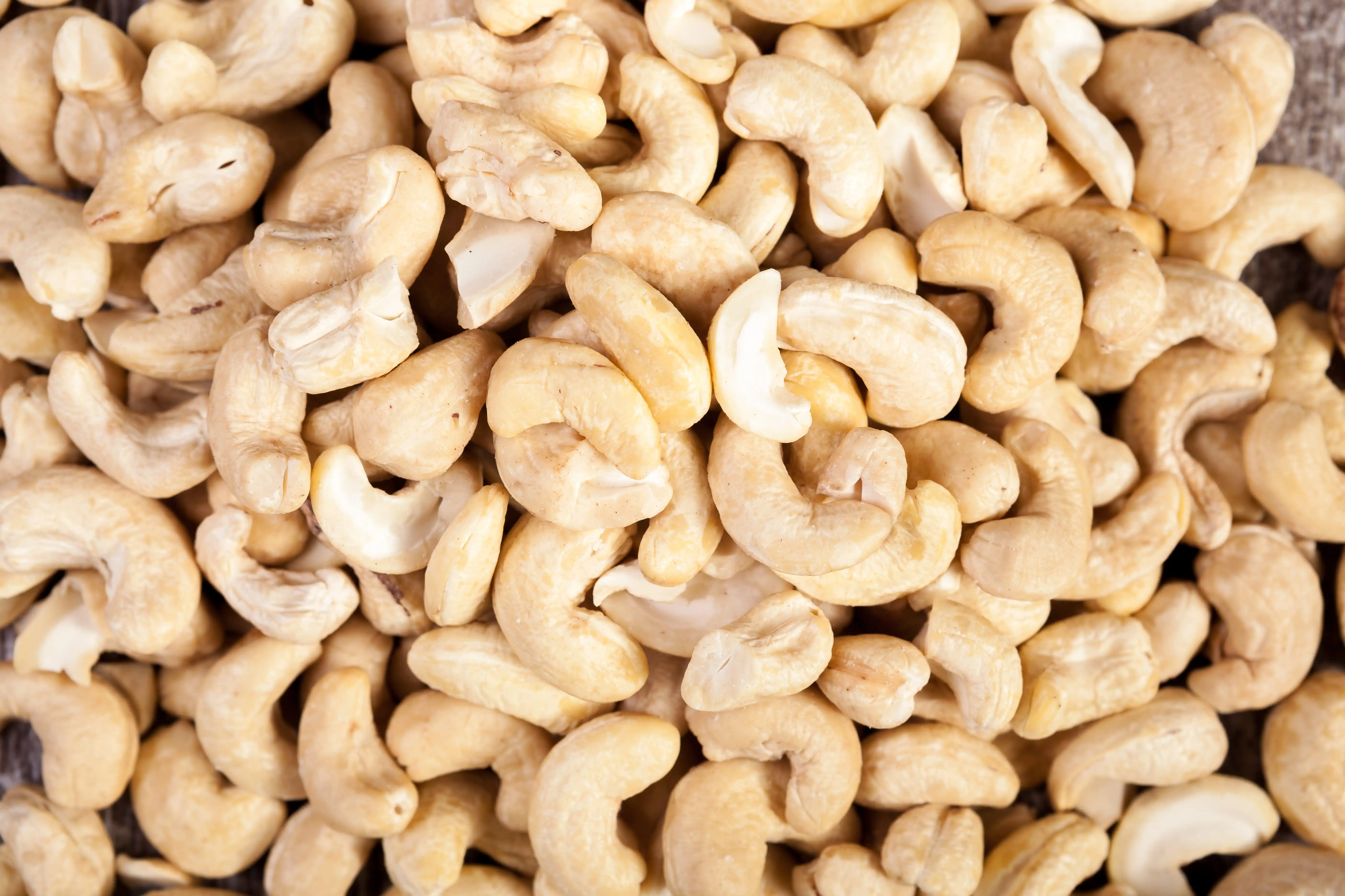 Cashew farm